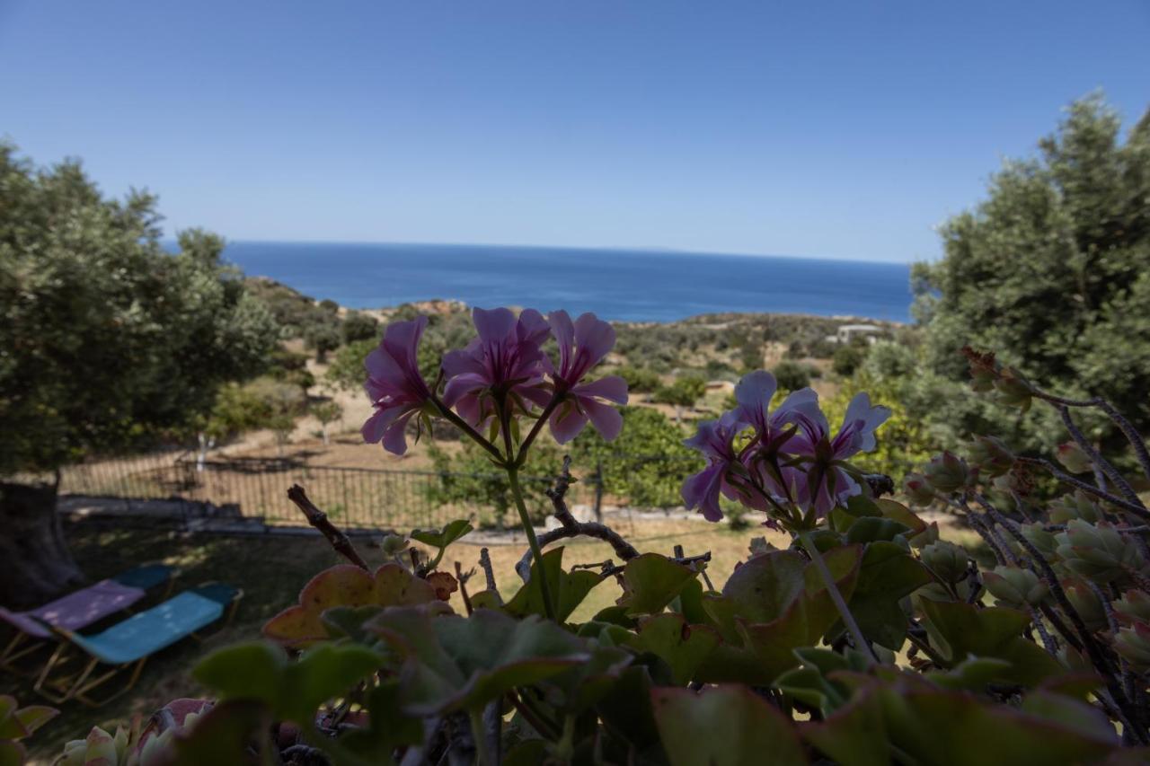 Manolis' House Vila Agia Paraskevi  Exterior foto